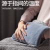 彩虹 电热暖手宝 325型 DR40-1A 1.4kg 舒适插手套(个)