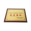 春羽宏博 铜拉丝直边木托奖牌30*40cm J8002/个