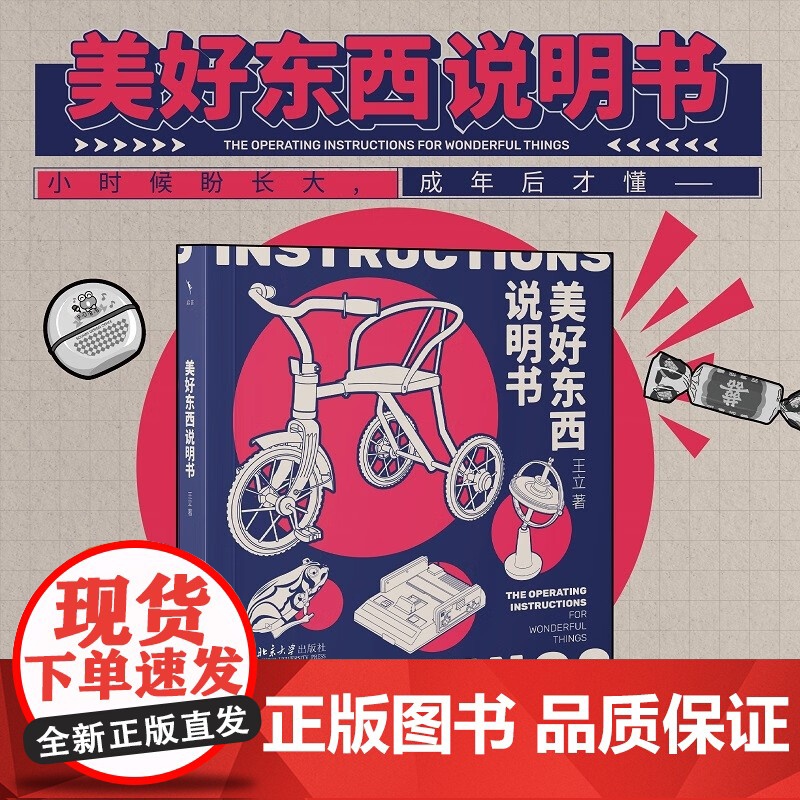 美好东西说明书 王立 著 中国文学