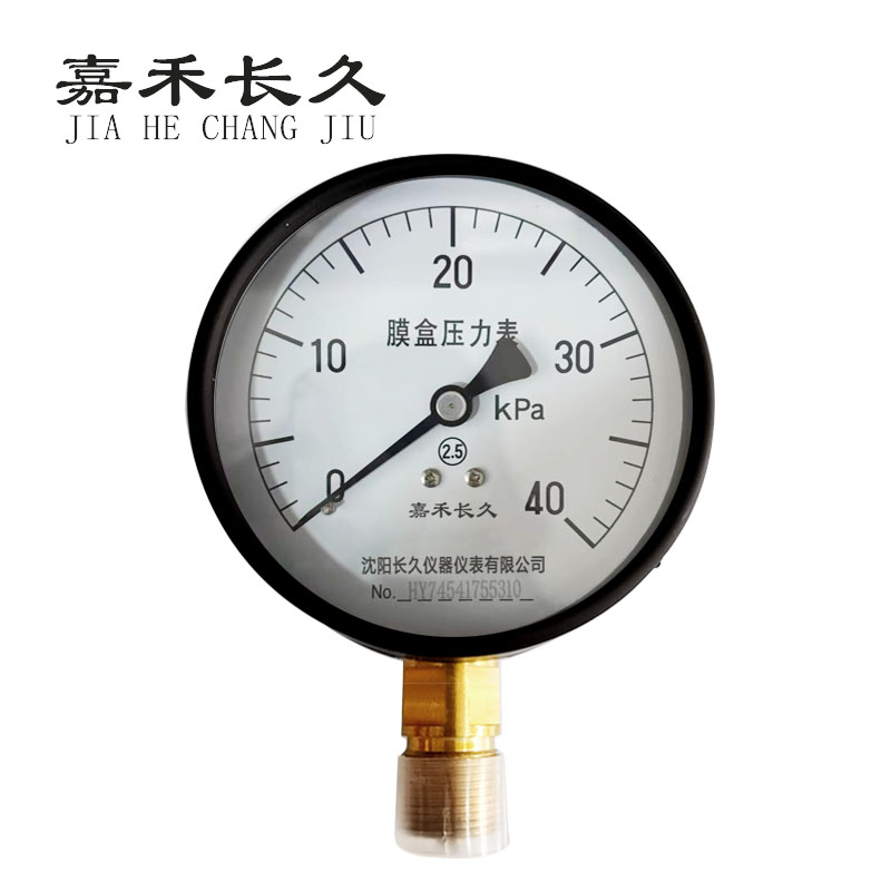 嘉禾长久+膜盒压力表检测定制型+YE100+块 0-40Kpa