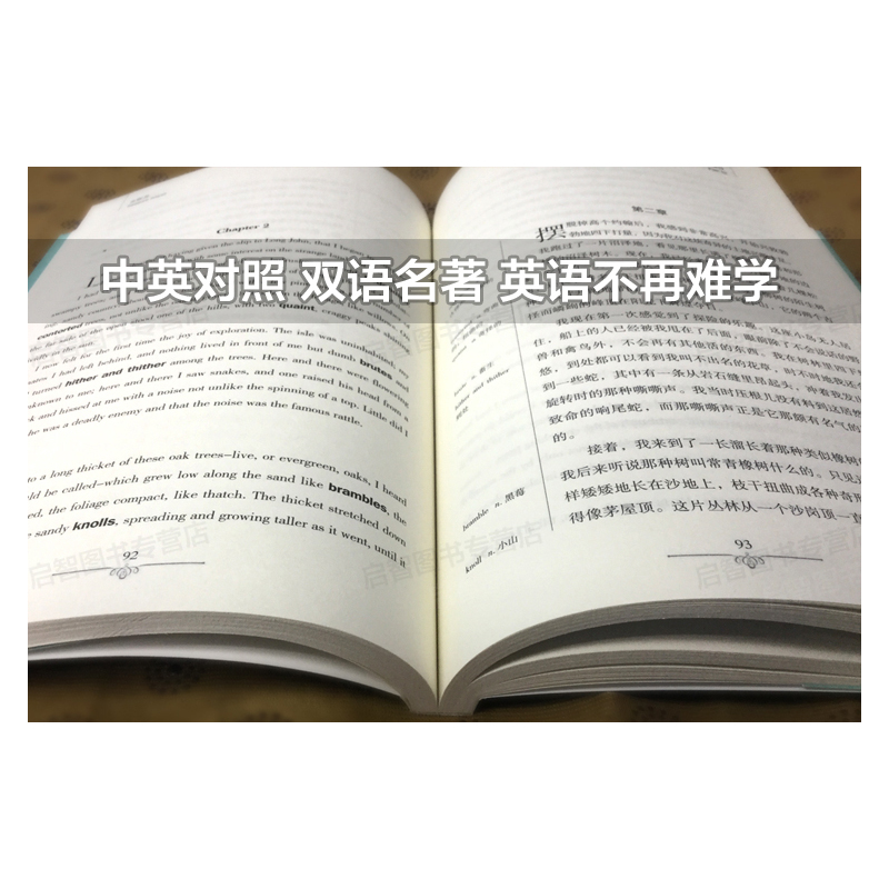 [中英互译]把信送给加西亚 [正版]中英双语金银岛书中英文双语名著读物英汉对照互译小说 斯蒂文森原著 读名著学英语 高中