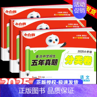 语数❤小升初真题[分类卷]2科套装 小学升初中 [正版]2025新版万唯小白鸥原创小升初招生分类卷语文数学英语重点中学五