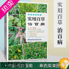 [正版]正版 实用百草治百病 草药高清图片大全常见病症 中医经典方选方指南保健养生食疗养生常用全草入药青草药识别百科
