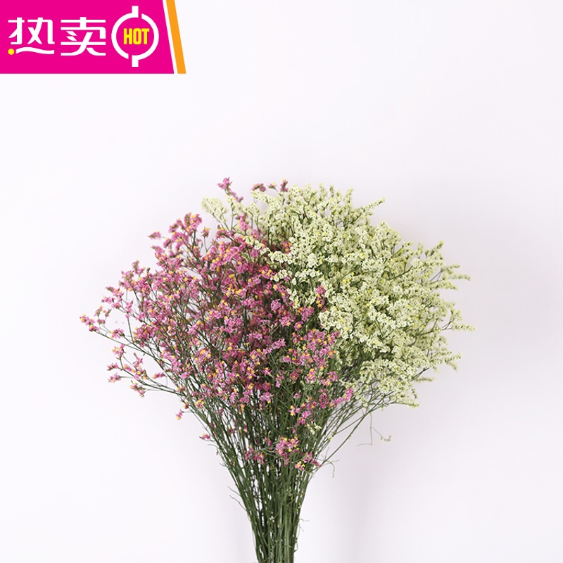 水晶花干花花束家庭家居客厅装饰摆件真花过年年宵花满天星fenghou