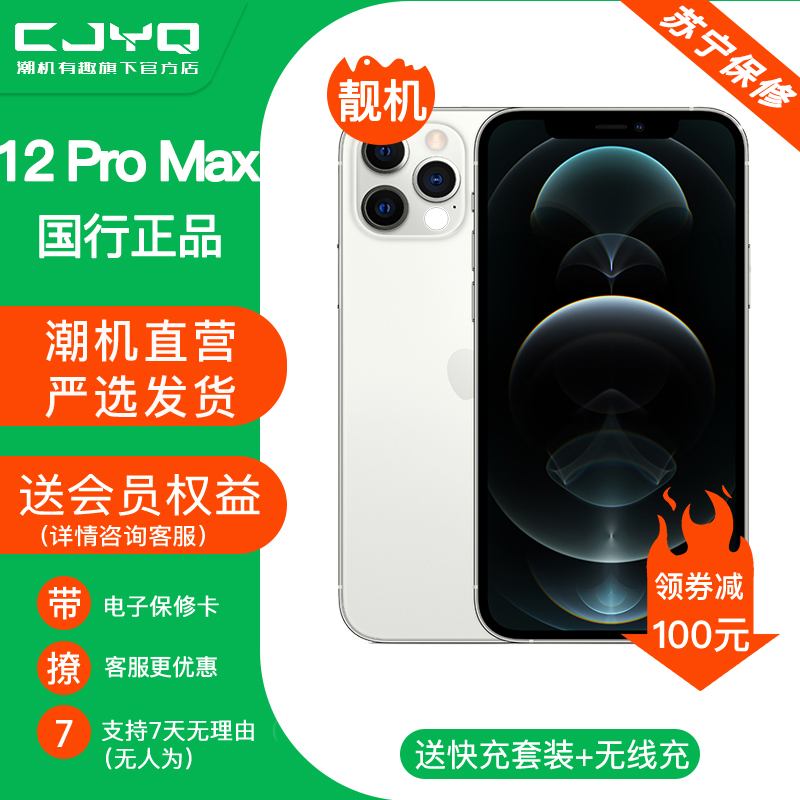 【二手95新】Apple iPhone12Promax 银白色 128GB 苹果12PM 国行全网通 正品