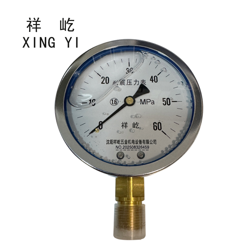 祥屹 耐震压力表 YN100 块 0-60Mpa
