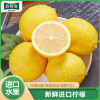 [苏鲜生]南非进口新鲜黄柠檬 8个装 单果130-150g香味浓郁 皮薄多汁 新鲜水果