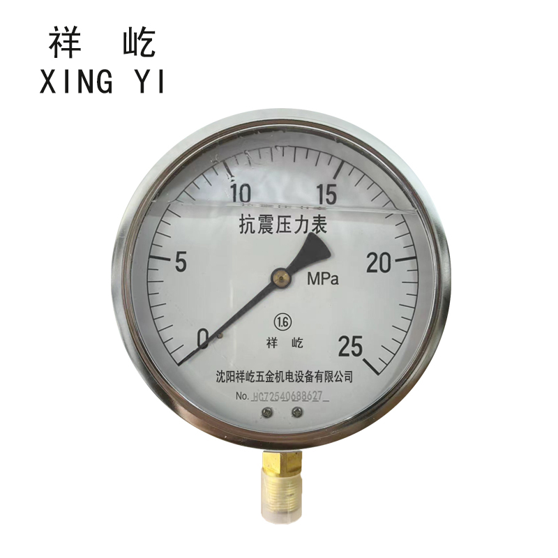祥屹+耐震压力表检测定制型+YTN150+块 0-25Mpa