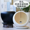 花盆大号特大号绿萝陶瓷花盆批简约家用阳台创意带托盘日用家居