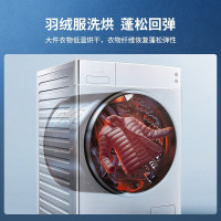 松下(Panasonic)滚筒洗衣机 10kg洗烘一体 泡沫净 光动银双重除菌 双极除螨 XQG100-LD256
