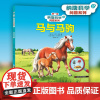纳唐科学问答系列-马与马驹跟着小马在场上奔驰,看看马术课教授什么技巧