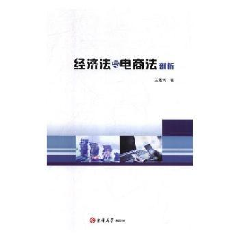 音像经济法与电商法剖析王景河著