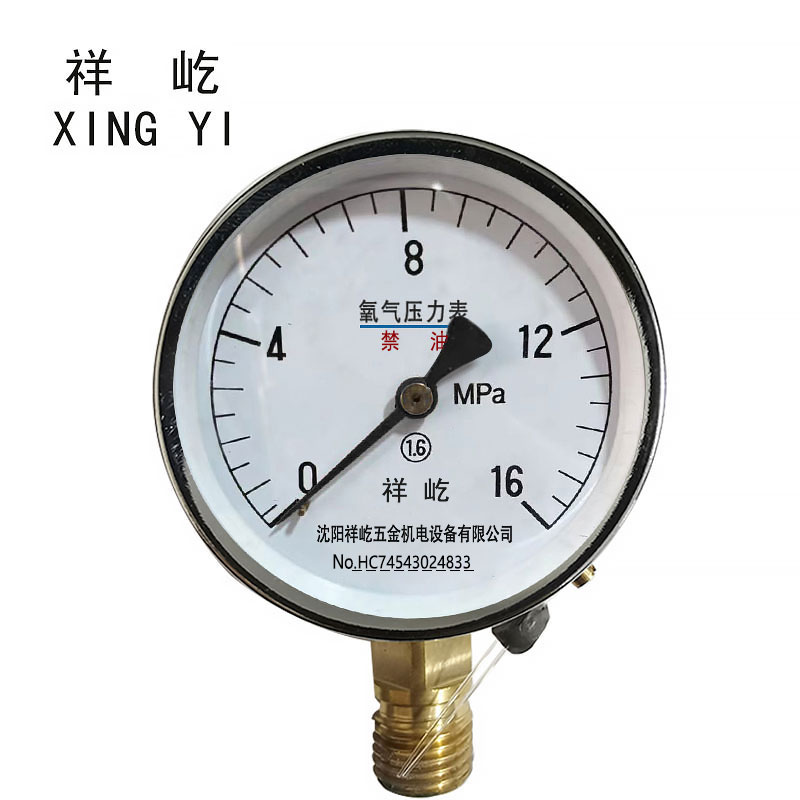 祥屹+氧气压力表检测定制型+YO100+块 0-16Mpa