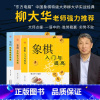 [正版]全三册象棋残局破解指南象棋攻防技巧指南象棋入门与提高东方电脑中国象棋大师柳大华实战经典大师点援一语中象棋技巧练