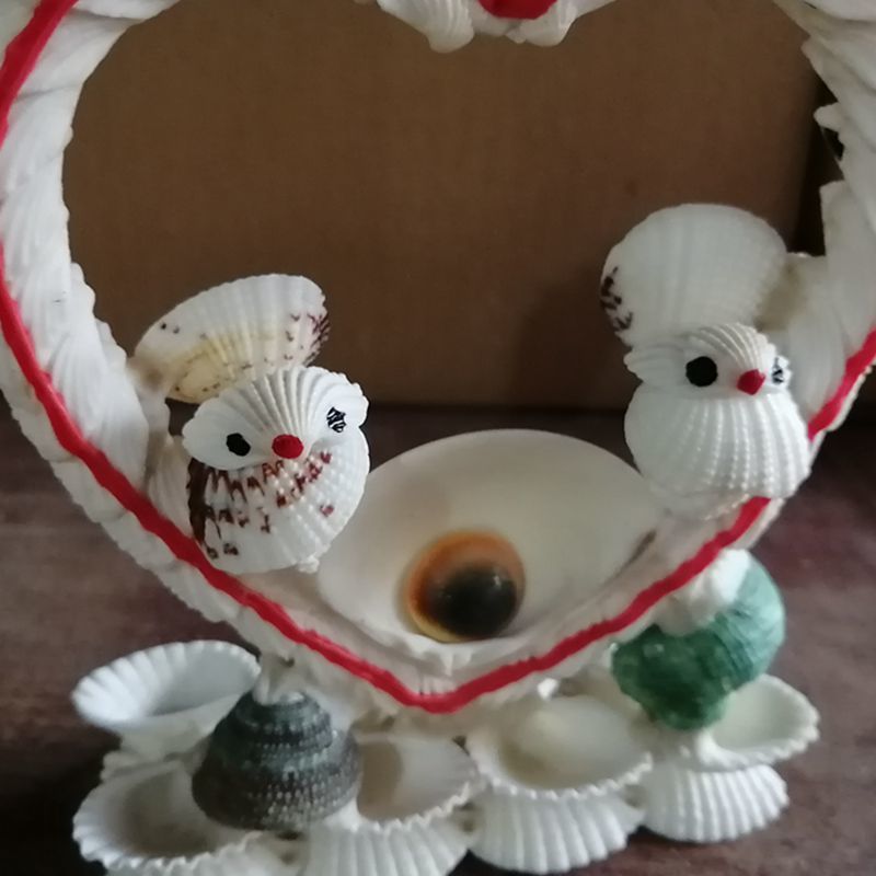 海螺贝壳工艺品摆件 儿童手工diy作业 创意女生日礼物