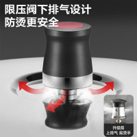 苏泊尔(SUPOR) YW203JA1 不锈钢高压锅 直径20cm (计价单位:台)