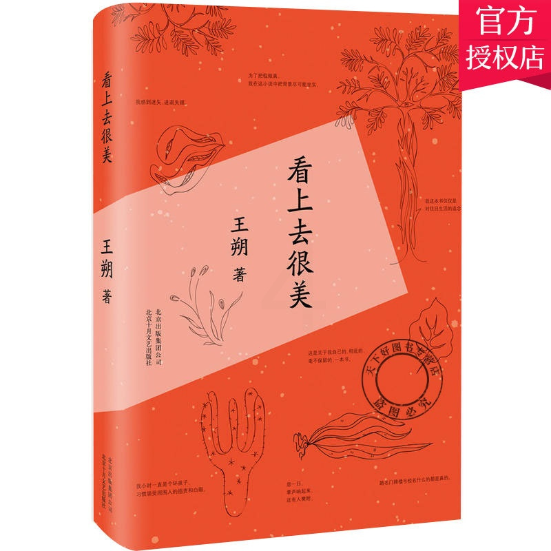 [正版] 看上去很美 王朔随笔集作品 爱情小说都市 情感小说中国现当代文学经典文学小说书籍