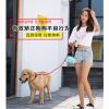蓝色单色款P链一体式款 通用 狗狗牵引绳大型小型中型犬狗链子遛猫绳子金毛拉布拉多牵狗绳子