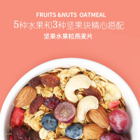 南农 坚果水果粒燕麦片早餐食品 即食代餐 冲饮谷物杂粮干吃零食 坚果水果粒燕麦片 420g