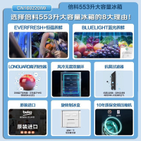 倍科(BEKO)553L两门双门冰箱大宽门冰箱原装进口风冷无霜节能大容量蓝光恒蕴养鲜电冰箱 CN160220IW