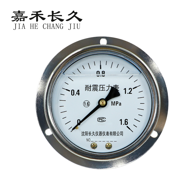 嘉禾长久/ 耐震压力表轴向带边 定制检测款 YTN100ZT 压力量程请备注 /个 压力量程请备注