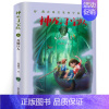 神龙寻宝队:青铜巨人 [正版]傻狗温迪克三年级 祖庆说百班千人暑假读物 傻狗温迪克书 小学生课外书阅读书籍 新蕾出版社K