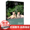 [正版]猫散步猫夫人重庆出版社9787229116996