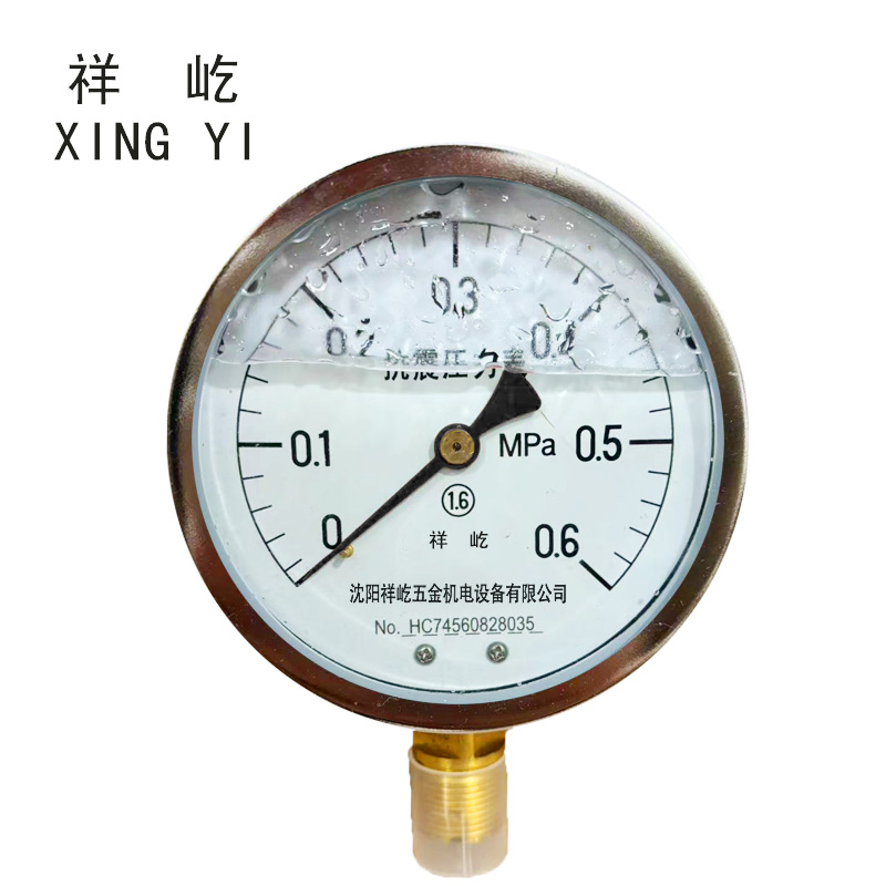 祥屹+耐震压力表检测定制型+YTN100+块 0-0.6Mpa
