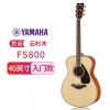 雅马哈(YAMAHA)FG800单板民谣吉他 电箱款吉他 初学者入门款jita 男女吉他 40/41英寸