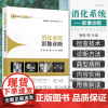 消化系统影像诊断快速入门丛书 CT淋巴系统胸部泌尿生殖系统头颈部头部中枢神经系统心血管骨肌心脏超声医学影像学读片图谱X线