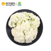 小汤山 散白菜花 约300g 新鲜蔬菜