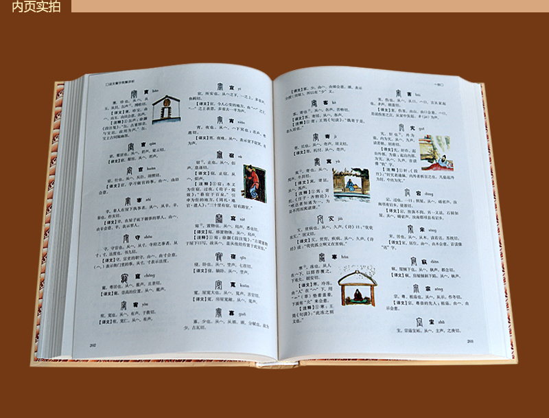 [正版]国学典藏馆 说文解字图解详析 许慎 彩图珍藏版 中国文化语言工具书语言文字 国学经典书籍教科书文白对照 文言文高清大图