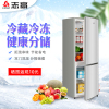 志高(CHIGO) 148升BCD-148A218D双门冰箱 两门小冰箱 家用冷藏冷冻小型电冰箱(星光银)