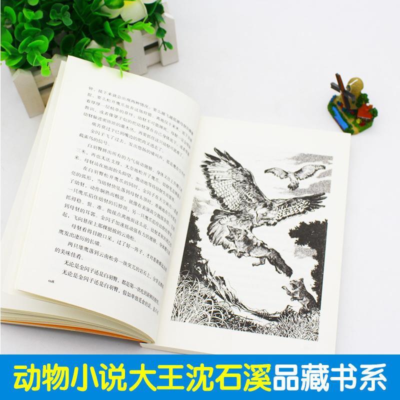 第七条猎狗最后一头战象斑羚飞渡沈石溪动物小说大王全集全套任选 保姆蟒