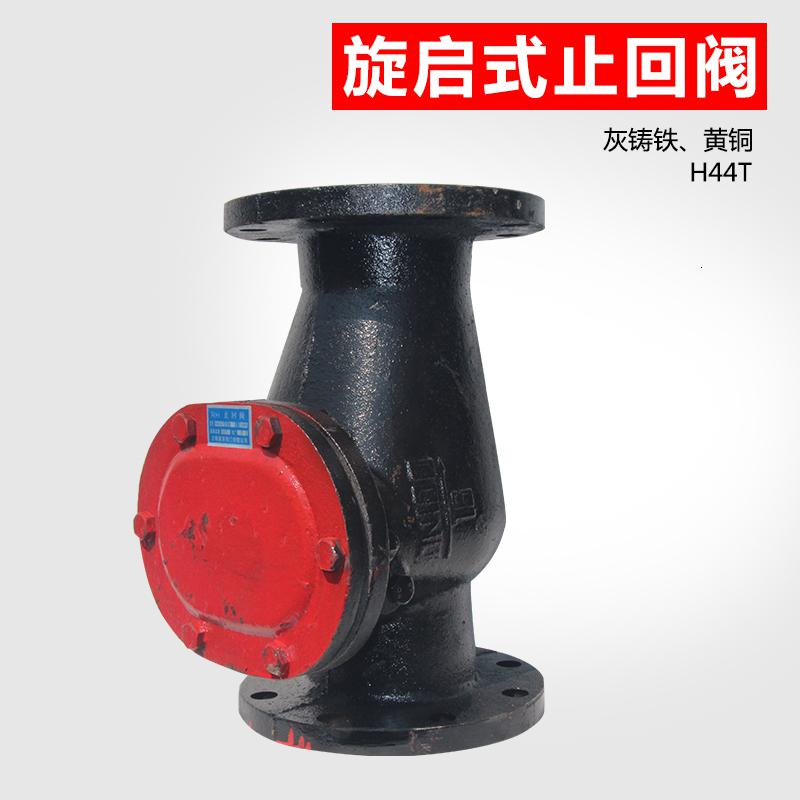 H44T管道法兰旋启式止回阀阿斯卡利污水泵用立式止回阀单向阀 逆止阀dn100 DN100普通