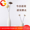 北欧现代简约创意客厅插花摆件家居装饰品陶瓷干花花瓶ins摆设