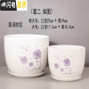 三维工匠陶瓷绿萝花盆家用好看大号个性创意室内简约吊兰 蒲公英的约定(特大+大号)2件套 特大花盆容器