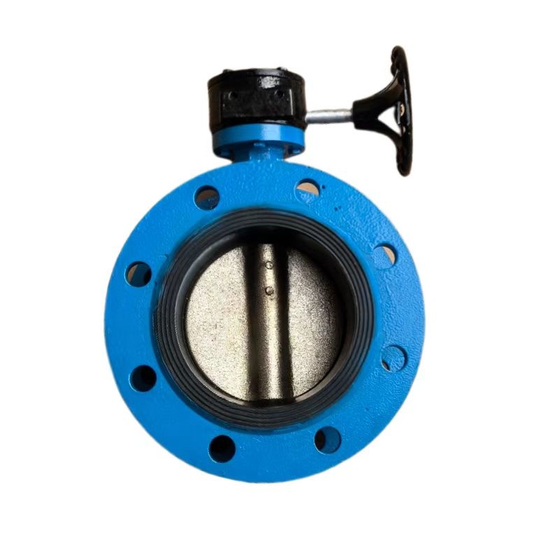 晟宏德 涡轮法兰蝶阀 DN150 个