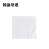 翰骊陆通 加厚纯棉全棉小方巾擦拭布抹布 白色30cm*30cm 条