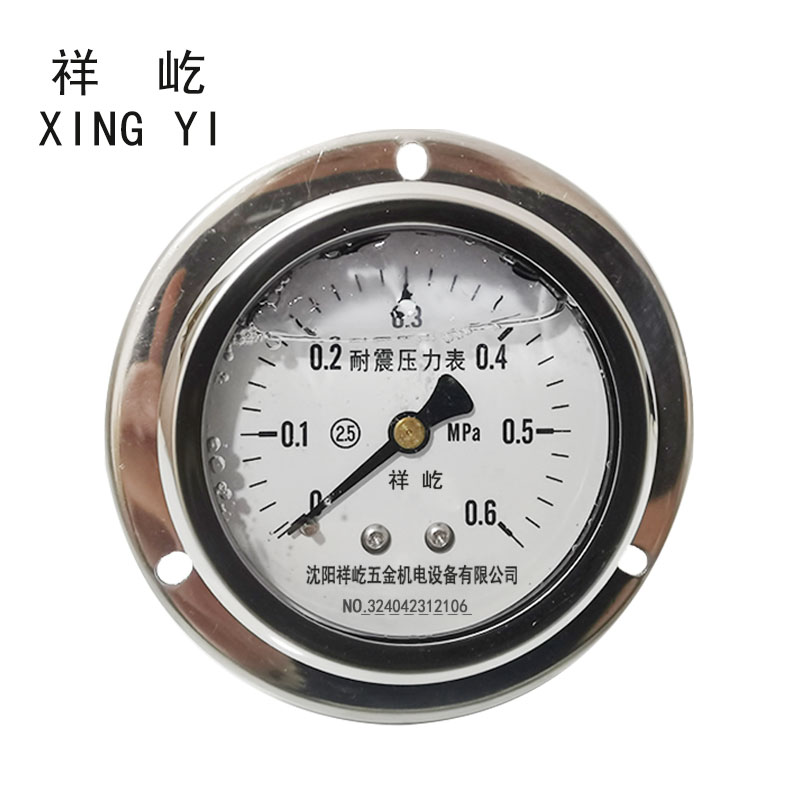 祥屹 耐震压力表轴向检测定制型 YTN60Z 块 0-0.6Mpa