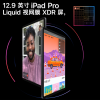 Apple苹果 iPad Pro 12.9英寸 2T WLAN版 平板电脑 灰色 苹果新款平板电脑