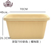 封后(FENGHOU)花盆阳台种菜盆长方形大号塑料种菜盆爱丽丝种植园艺花盆 [预售3月中旬到货]大号(70cm长花盆容器