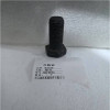林阳林 螺栓 M24*60带孔 1个