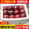 [送开果器]百香果精选大果5斤装3斤2斤1斤新鲜水果酸甜多汁