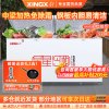 星星(Xingx)BD/BC-528GE 518升 冰柜冷柜 厨房商用保鲜设备卧式大容量 冷藏冷冻转换单温冰柜 一级能耗