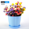 塑料花盆绿萝圆形特大号吊兰塑料个性加厚加仑家用花盆带托盘 蓝色花瓣盆 [5个]大号口径约16厘米