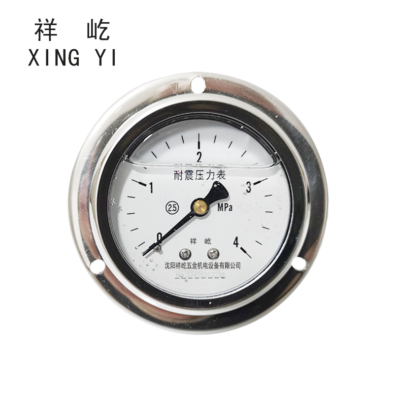 祥屹+耐震压力表轴向带边检测定制型+YTN60ZT+块 0-4Mpa