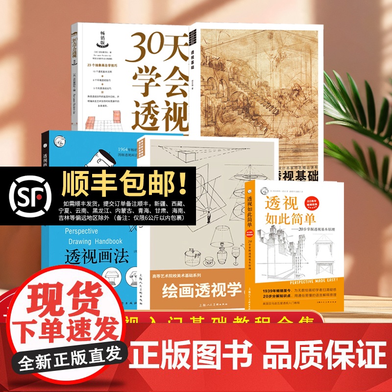 透视画法入门 透视的艺术基础自学到进阶教程合集图示练习透视基础原理 自学零基础教程透视技法视觉原理透视原来如此简单绘画技
