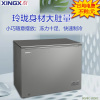 星星(XINGX)商用家用小型钢板门冷柜单温冷藏冷冻转换一级能效高效减霜80%母婴小冰柜 BC/BD-205KC