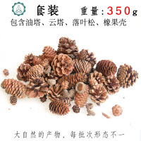幼儿园环创干树枝松塔手工diy创意原料 封后 带皮斜木片200g(35个左右)斜面5-6cm厚度1cm 干花包